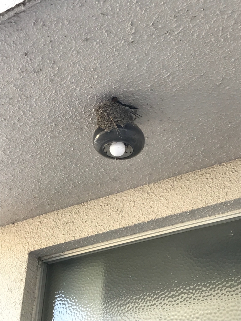 f:id:k-seamless:20180526173051j:plain