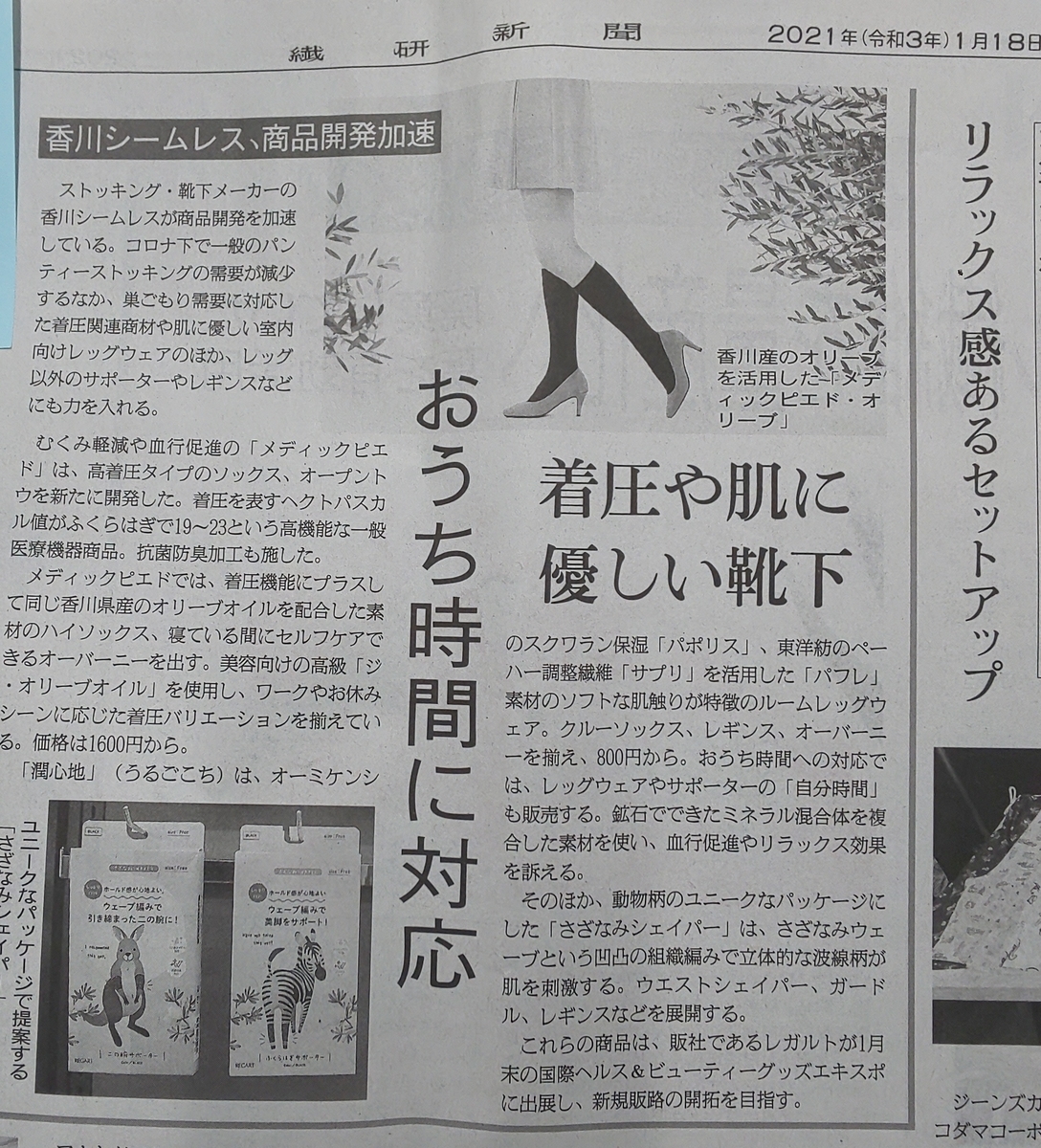 f:id:k-seamless:20210121191939j:plain