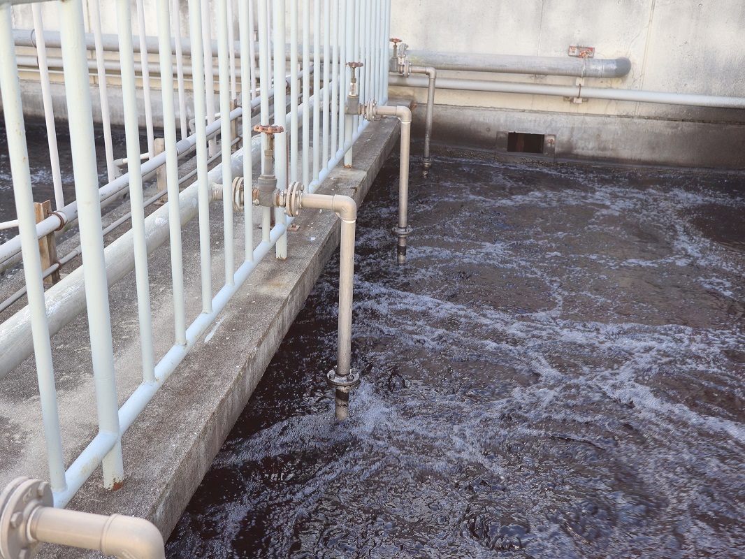 f:id:k-seamless:20210220204801j:plain