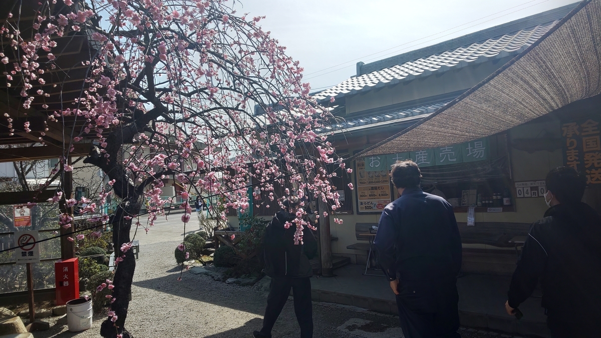 f:id:k-seamless:20210227174703j:plain