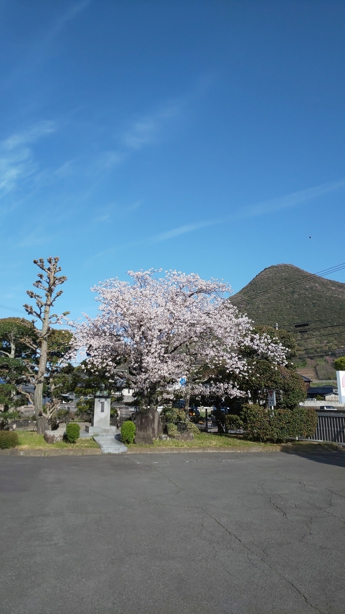 f:id:k-seamless:20210410203520j:plain