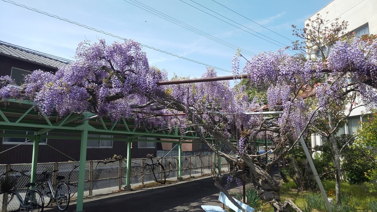 f:id:k-seamless:20210410204251j:plain