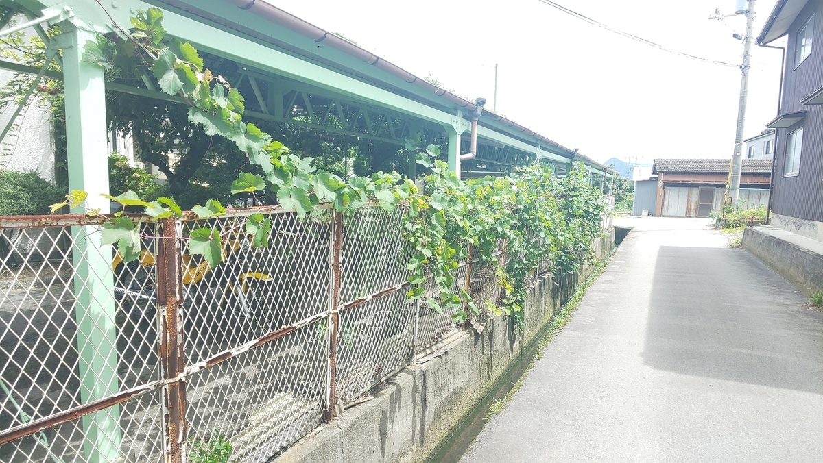 f:id:k-seamless:20210717155229j:plain