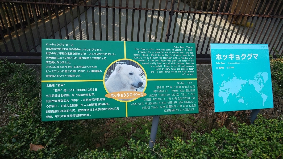 f:id:k-seamless:20210731163712j:plain