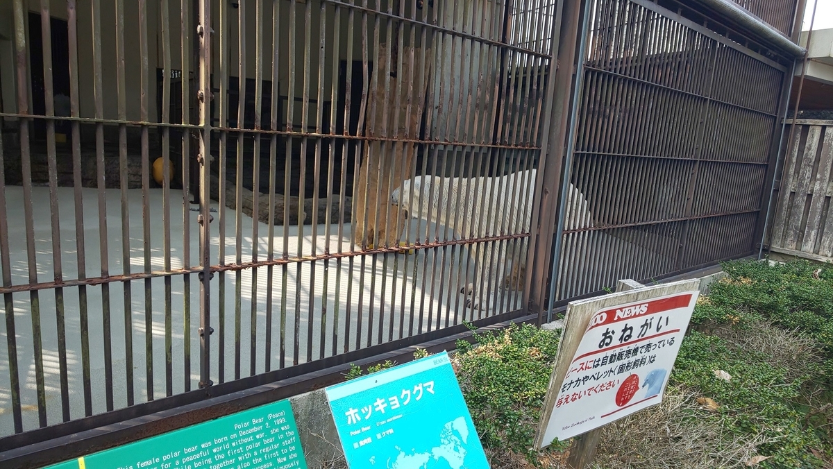 f:id:k-seamless:20210731163720j:plain