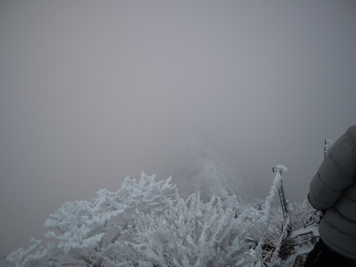 f:id:k-seamless:20220115180031j:plain