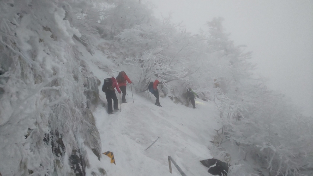 f:id:k-seamless:20220115180209j:plain