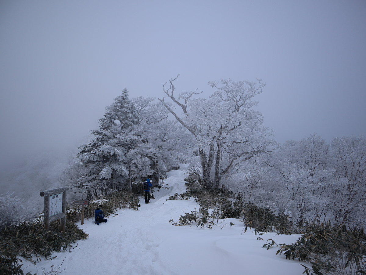 f:id:k-seamless:20220115180219j:plain