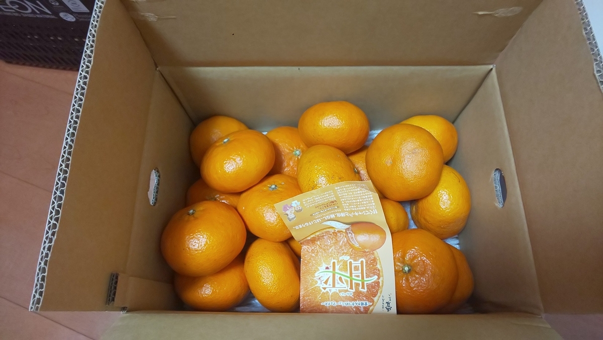 f:id:k-seamless:20220303130403j:plain