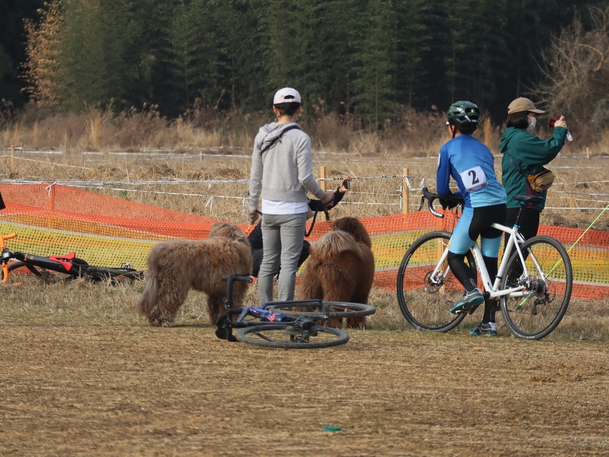 f:id:k-seamless:20220316184524j:plain