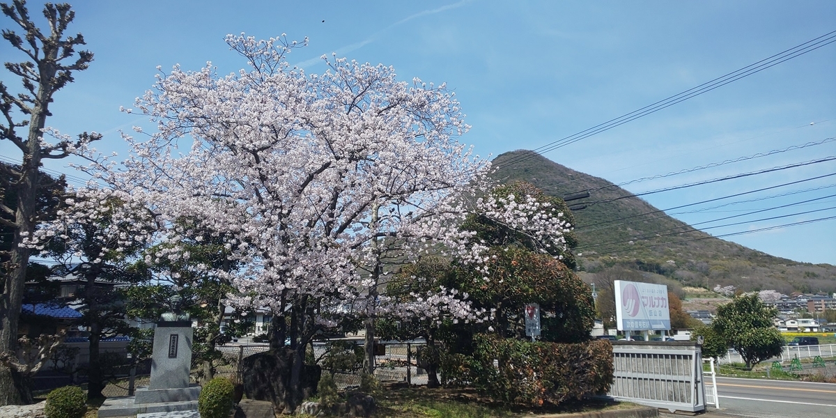 f:id:k-seamless:20220414225935j:plain